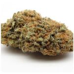 Шишки AK47  (Гидропоника, Бошка) VHQ в Малгобеке